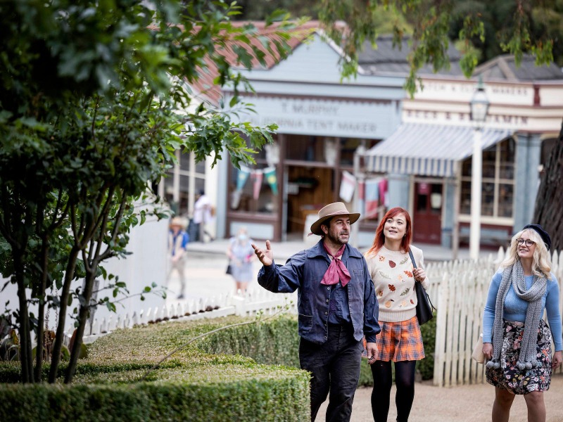 413f1bd3709c.jpeg